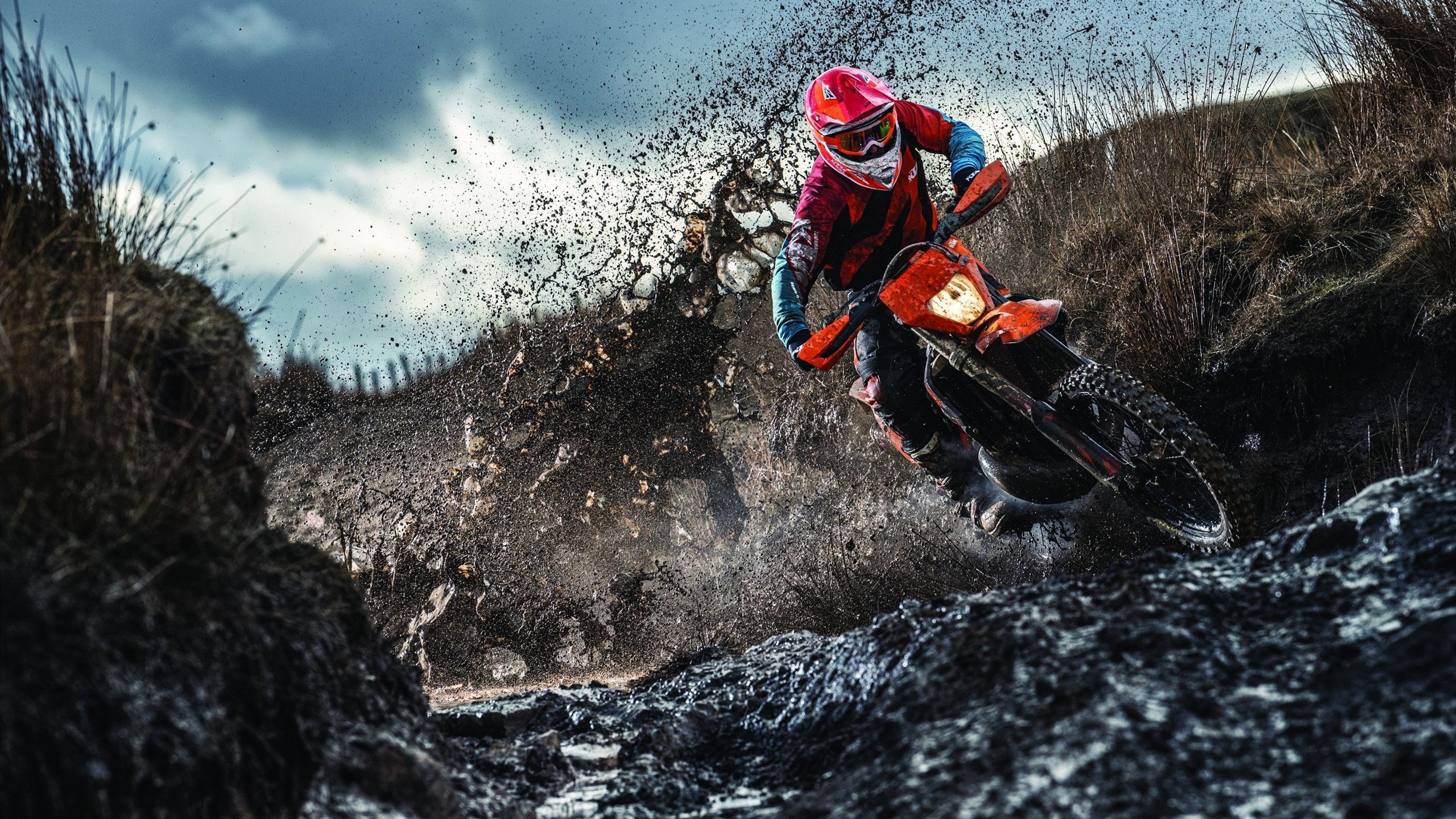 开云入口-特别关注：联盟中最具领导力的球员，联盟最有潜力球员