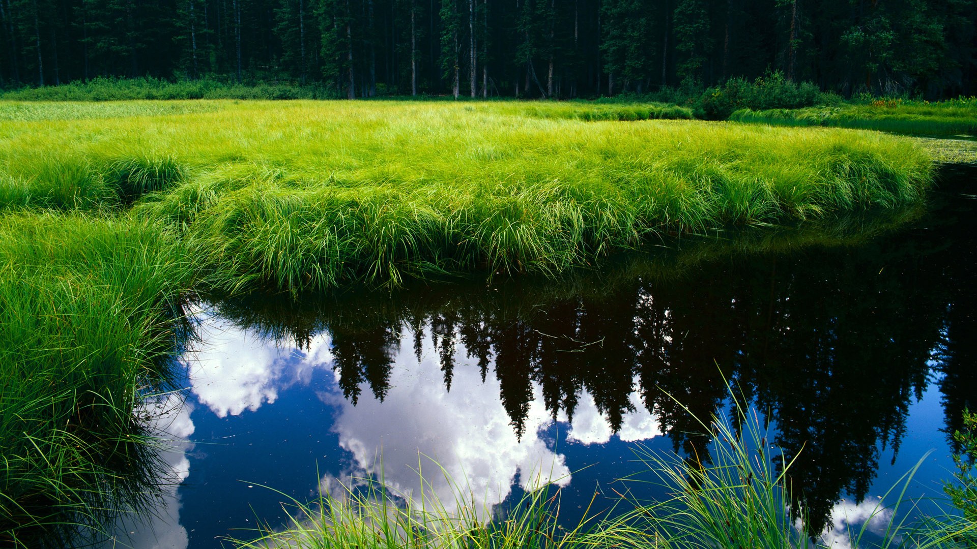 开云官方网站-青少年足球主题公益广告遍布城市街头，营造良好的体育氛围，青少年足球宣传语