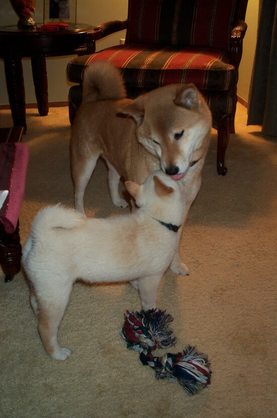 kaiyun体育app-南安普顿主场大胜西布朗，英超保级希望重新燃起，南安普顿vs布莱顿直播