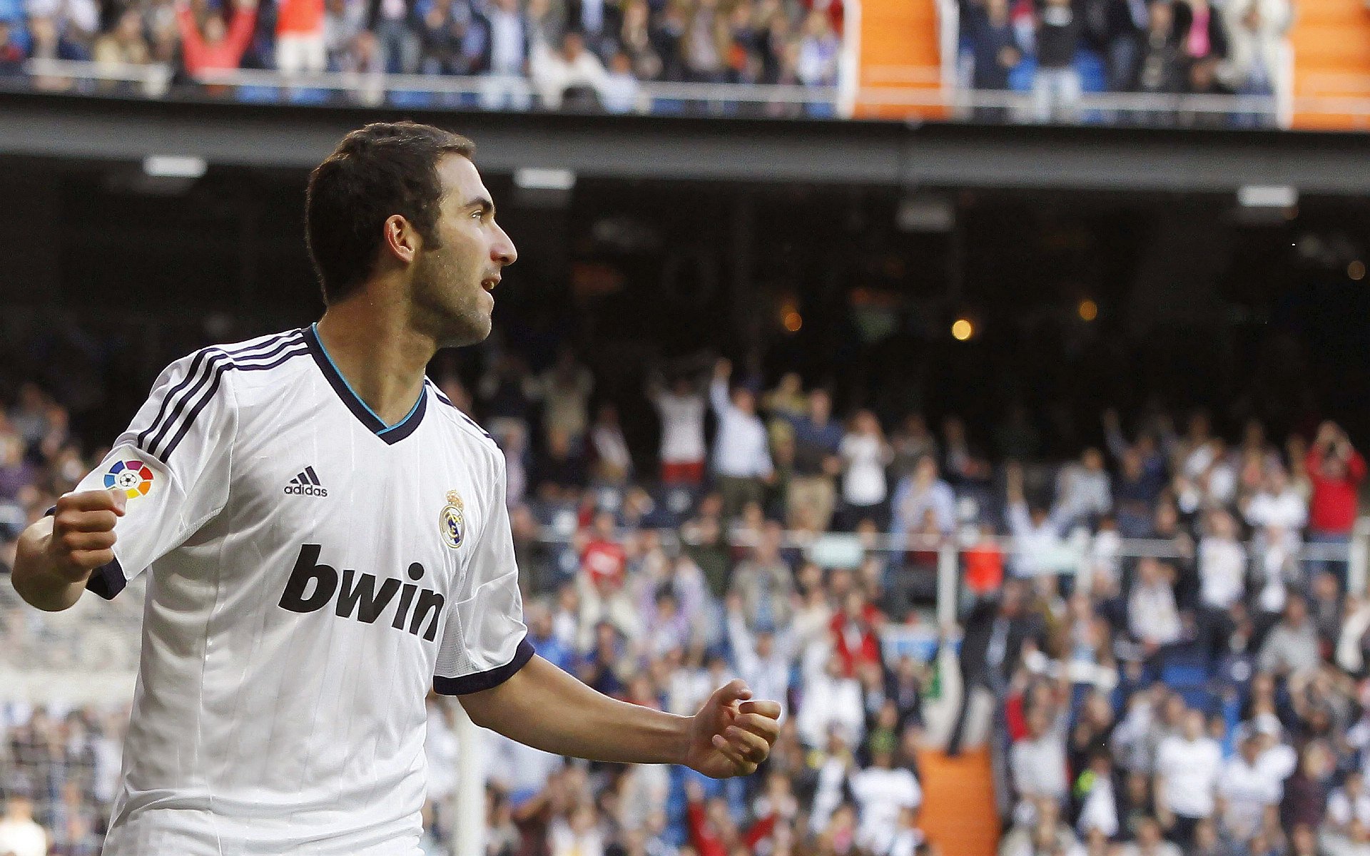 北美战队引进国际强援,北美战队是美国的吗