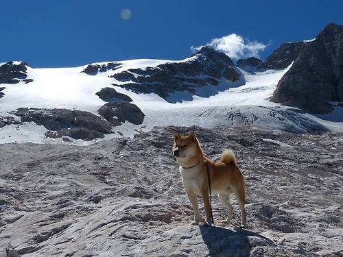 独立队年轻球员入选国家队,独立队年轻球员入选国家队队员