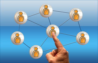 开云平台-世界足球推广：南南合作助力新兴市场崛起，南亚足球强国