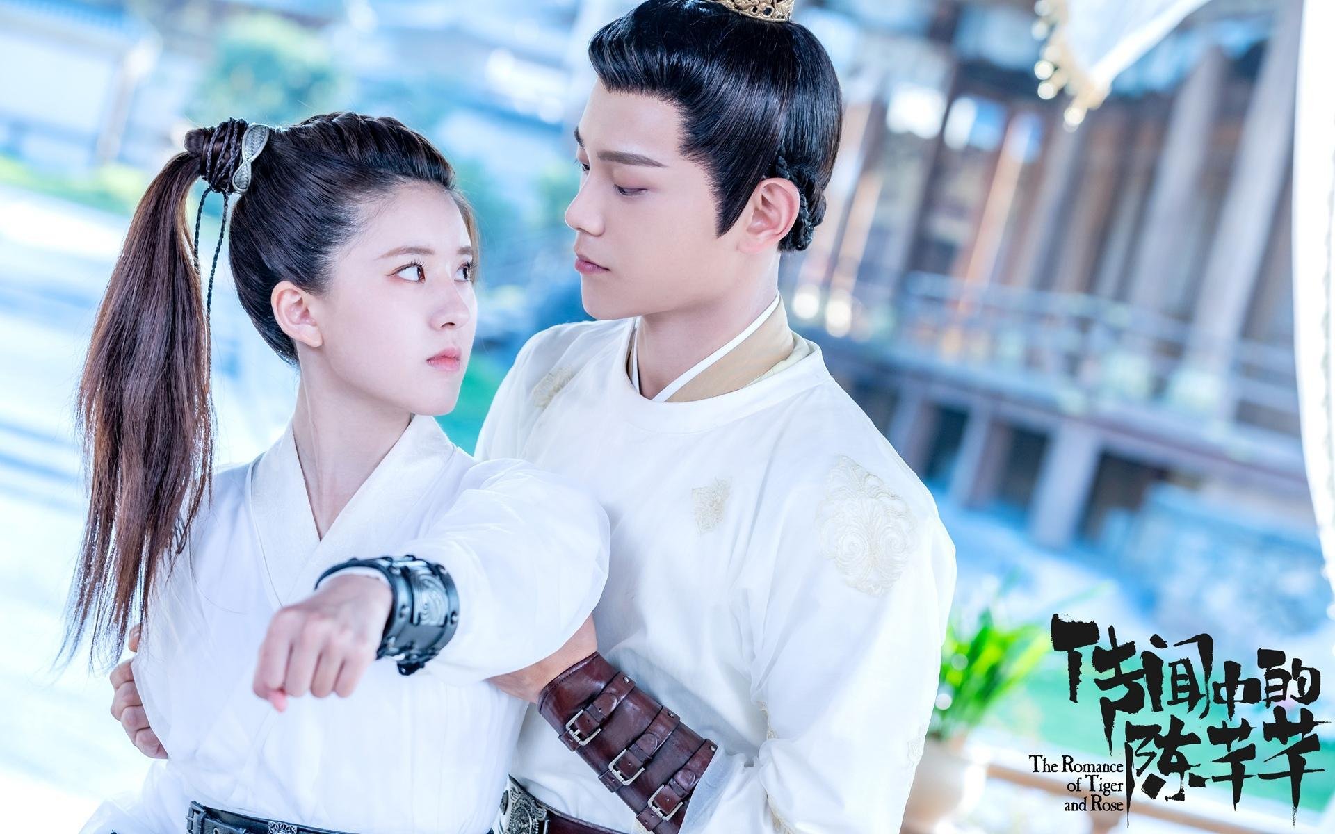 中国篮球联赛赛事安全管理体系优化及风险防控,中国篮球协会审定的最新《篮球竞赛规则》