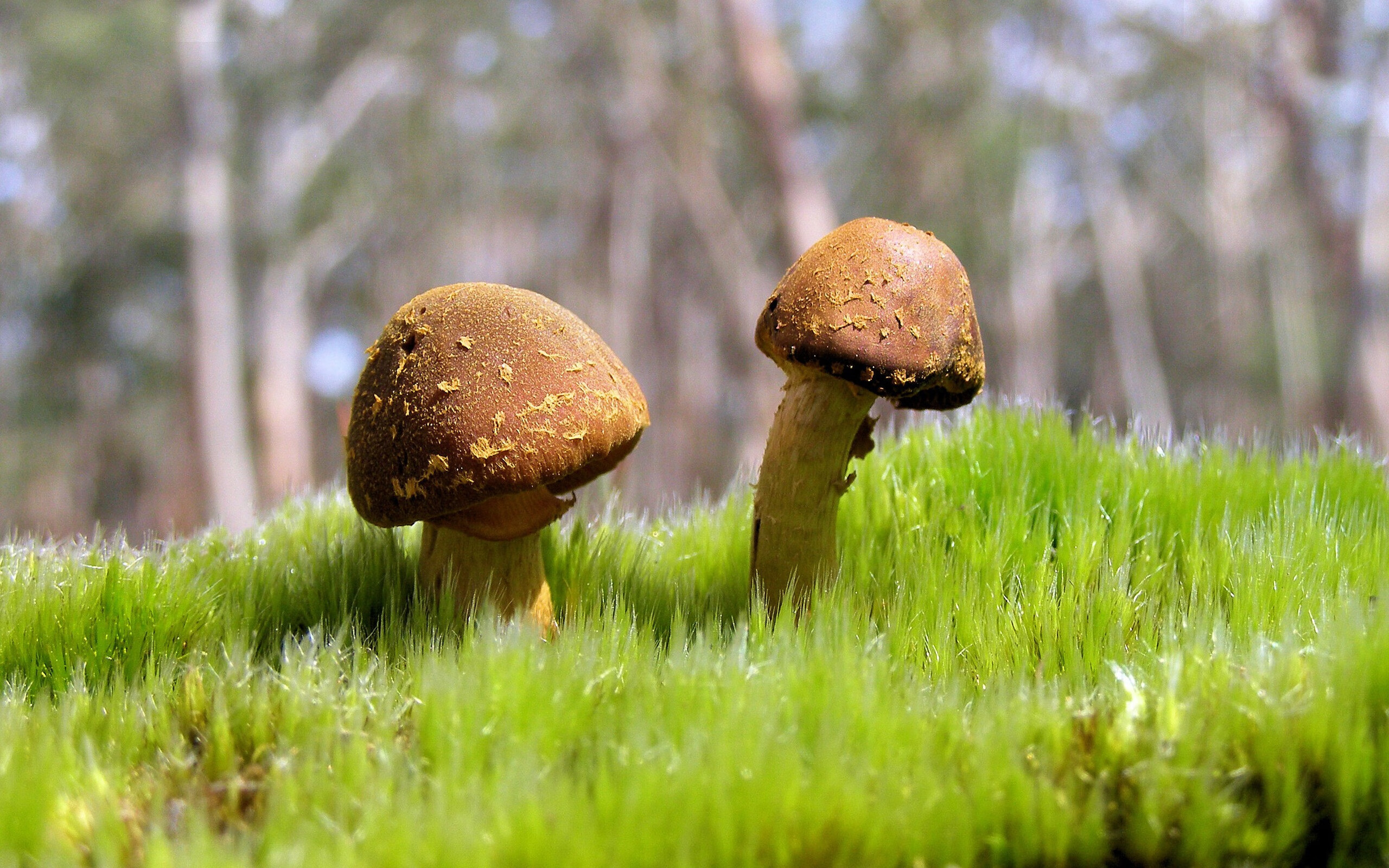 开云官网-球员惯用节奏与团队战术是否存在冲突，球员惯用节奏与团队战术是否存在冲突的原因