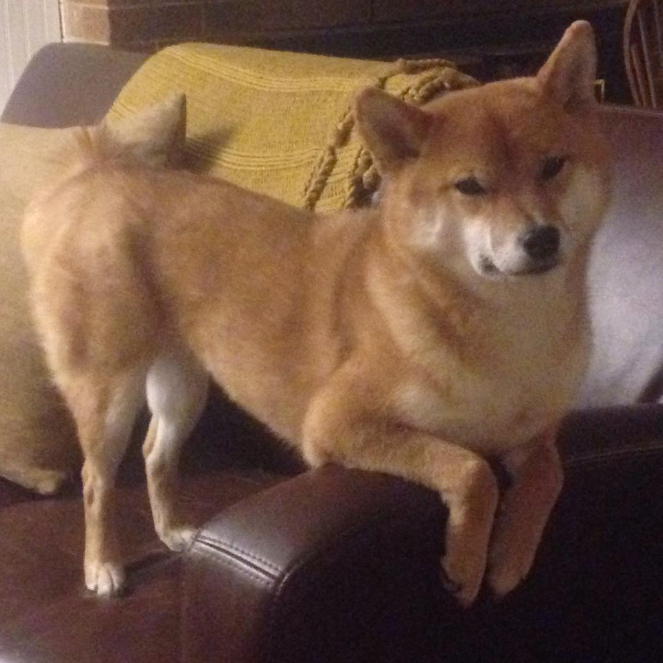 KAIYUNAPP-边后卫体能下降是否是比赛后半段失球主因之一，边后卫可以过中场吗