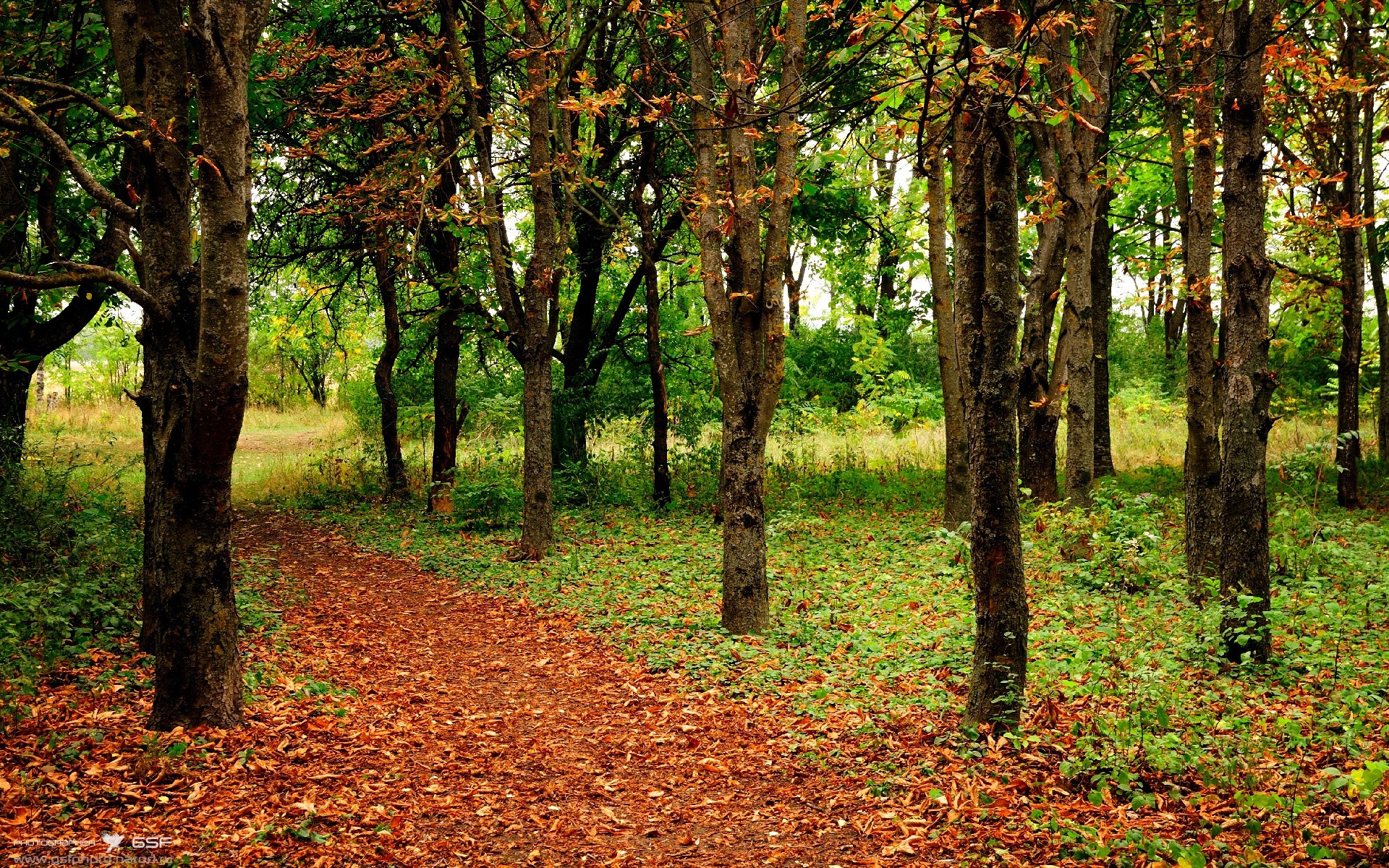 KAIYUN 中国大陆-丁俊晖逆转晋级赛后感谢父母支持，丁俊晖的努力