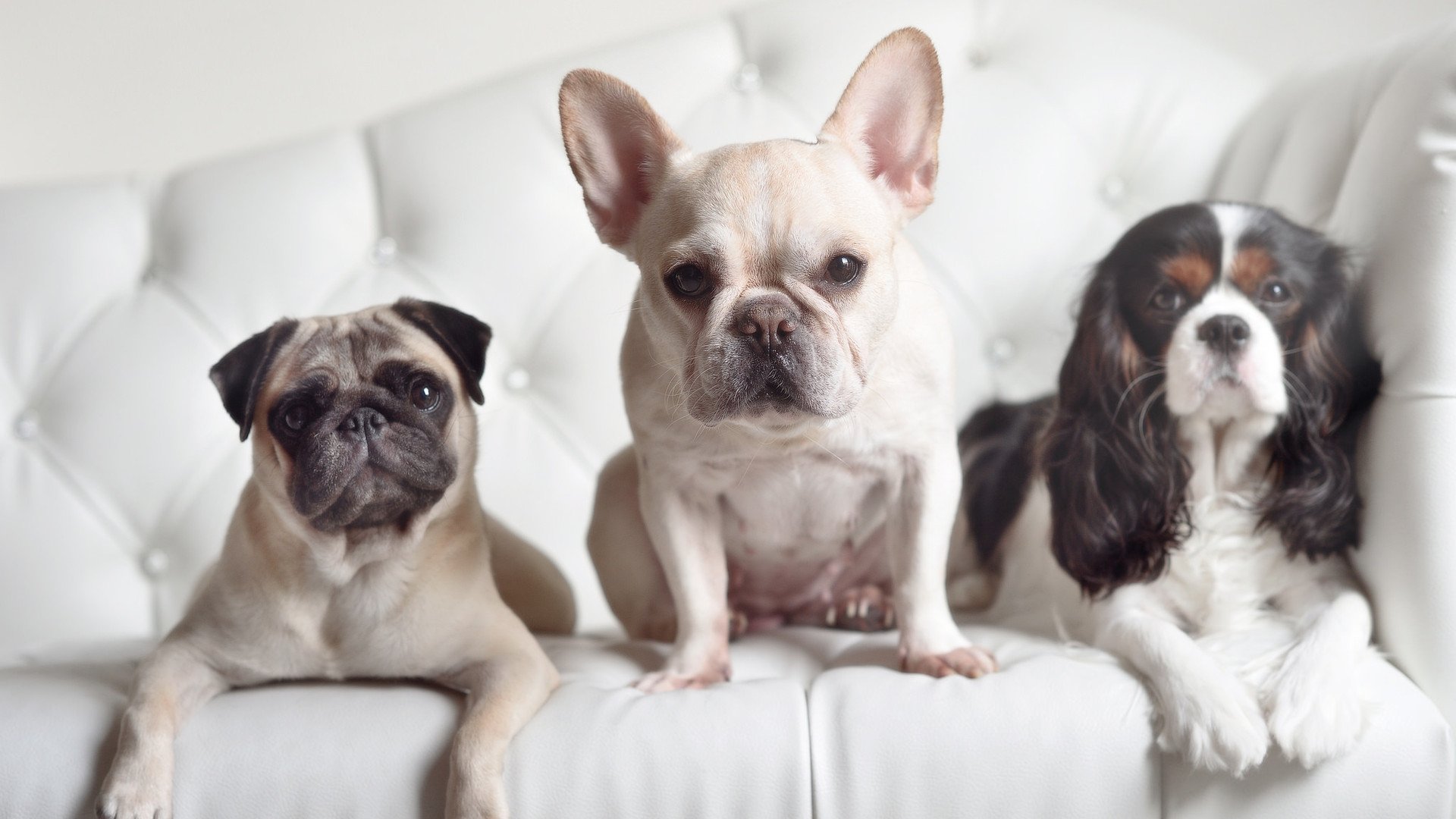 开云中国大陆-中小学篮球设置体能课标准时间保障训练系统性，篮球专项体能课