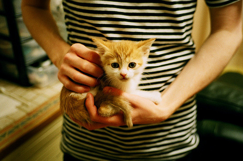 恩多耶-布鲁阿尔精准配速成就胜利关键，多恩布什 圣才