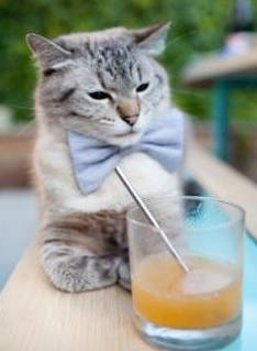 欧洲杯赛场技术创新展望,欧洲杯比赛分析推荐