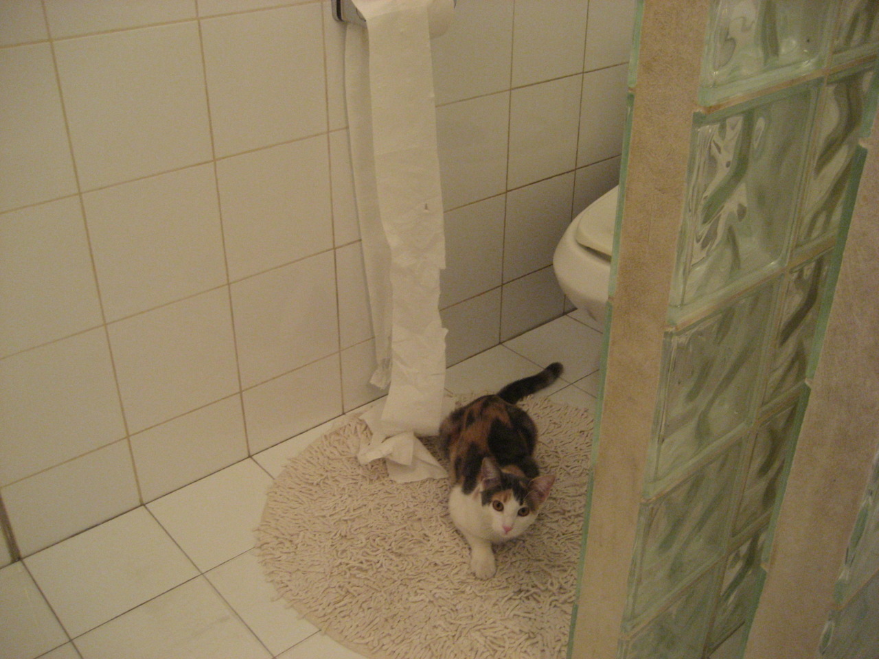 美洲杯技术狂飙:比赛中的精彩花絮,美洲杯视频回顾