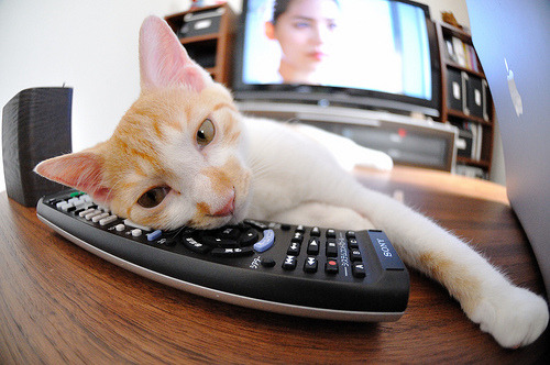 青少年校园足球联赛火热开启,青少年校园足球首页