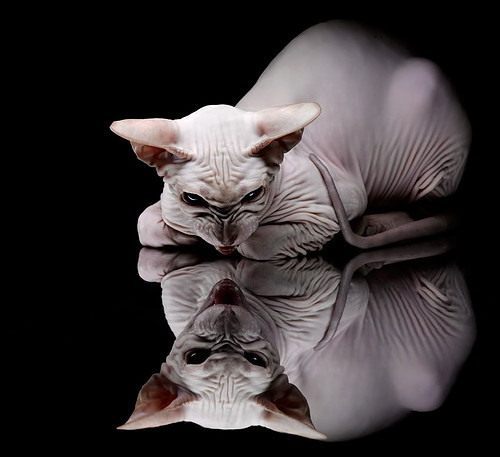 马拉维男篮在非洲锦标赛中获胜,创建历史新辉煌,非洲马拉维在什么地方